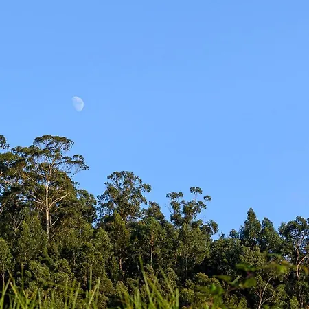 Recanto Florencas Дом отдыха Арку-да-Кальета