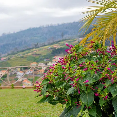 Recanto Florencas Ferienhaus Arco da Calheta (Madeira)