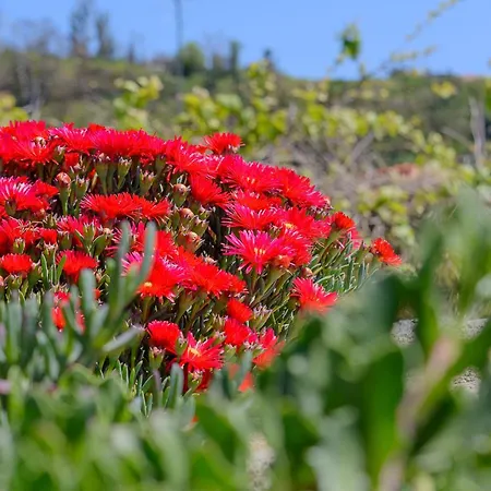 Recanto Florencas Дом отдыха