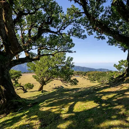 Дом отдыха Recanto Florencas *