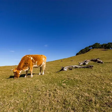 Дом отдыха Recanto Florencas