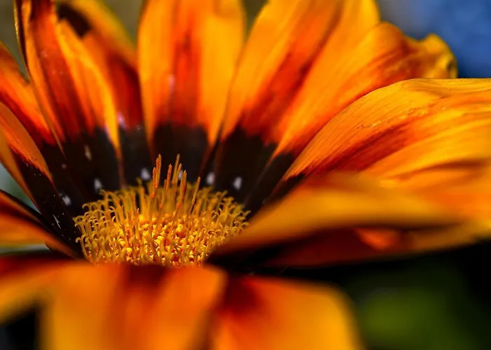 Recanto Florencas 度假居 阿科达卡列塔