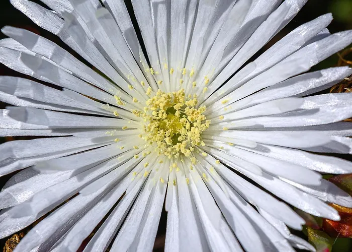 度假居 Recanto Florencas