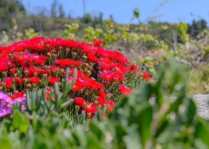 Recanto Florencas 度假居