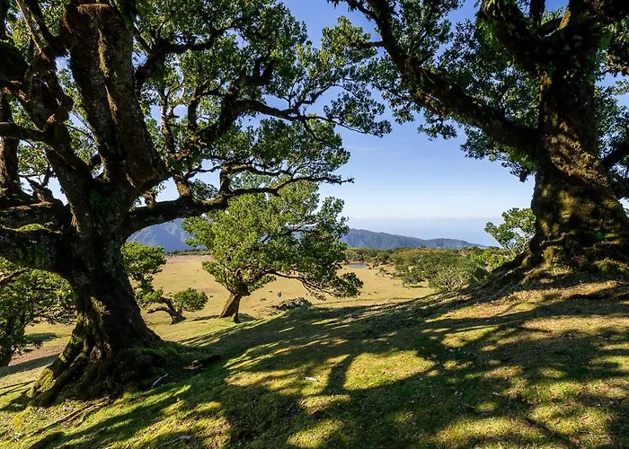 度假居 Recanto Florencas *