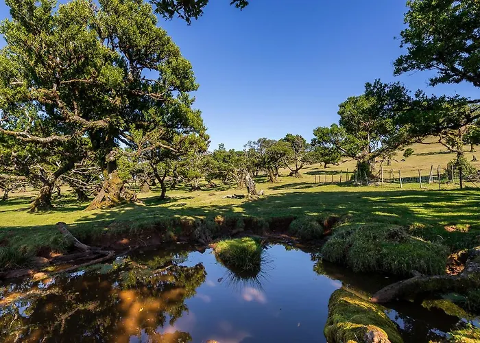 Recanto Florencas 度假居 *